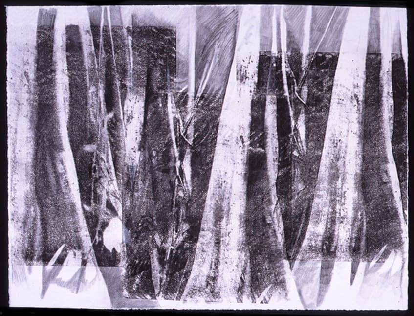 Rainforest 3 by Marilyn Banner 