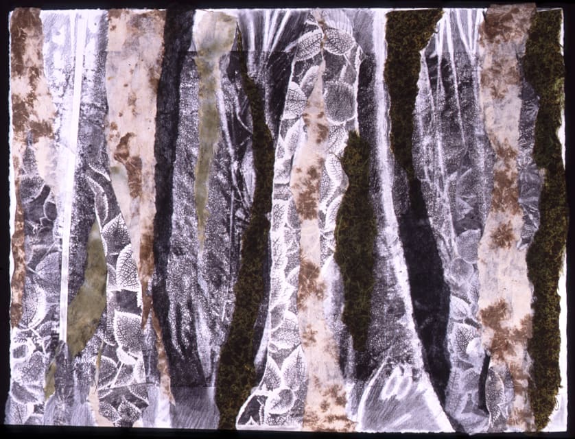 Rainforest 4 by Marilyn Banner 