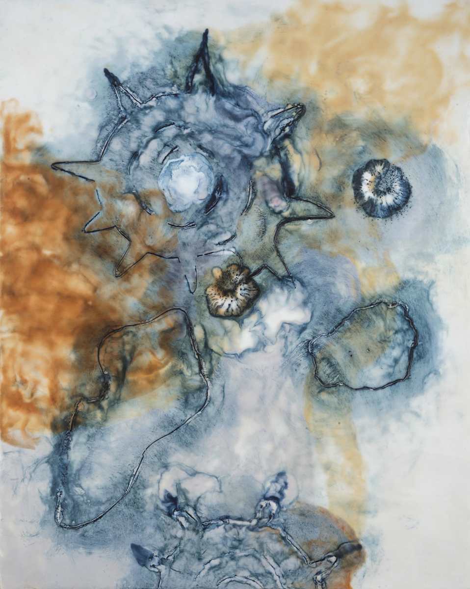 Star Shell by Marilyn Banner, Image 1.