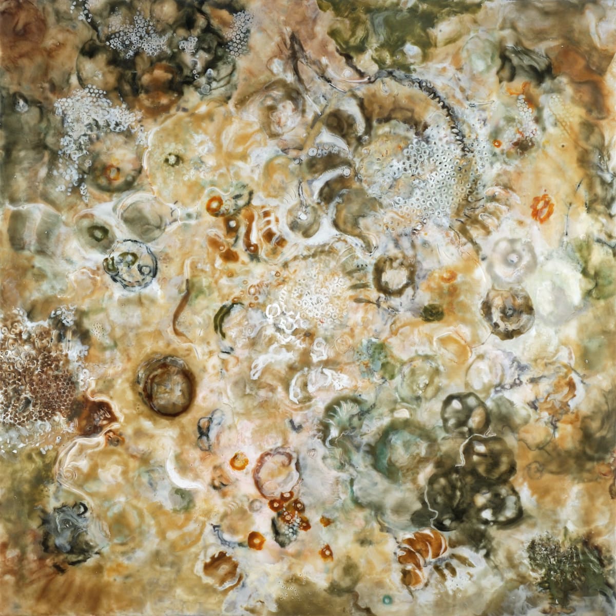 The Shell Speaks by Marilyn Banner 