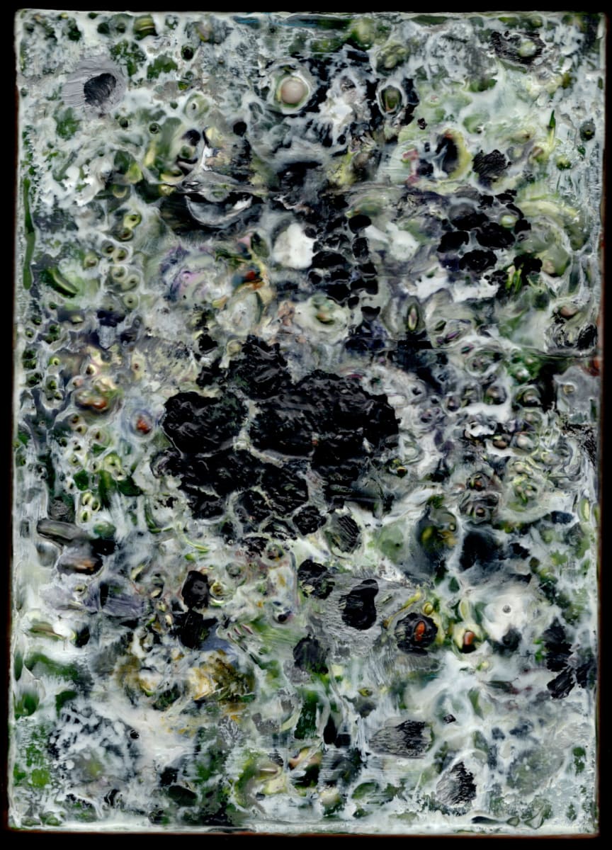 Melanelia by Marilyn Banner, Image 1.