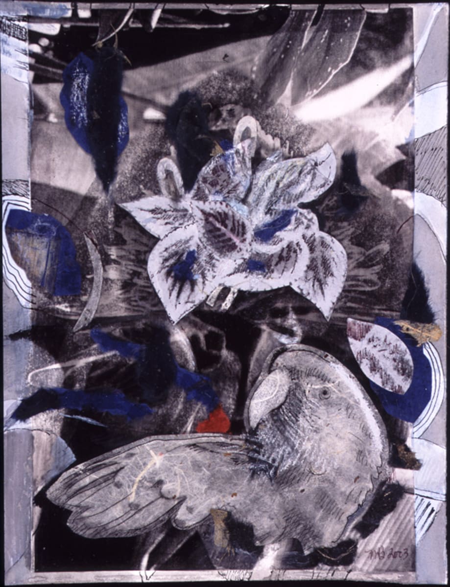 Bird in Blue Light, Image 1.