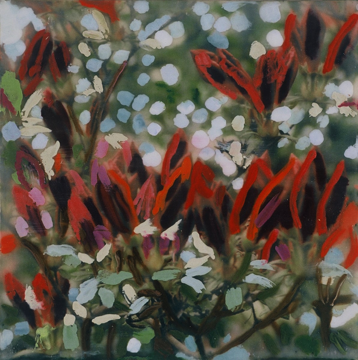 Buds 1, Image 1.
