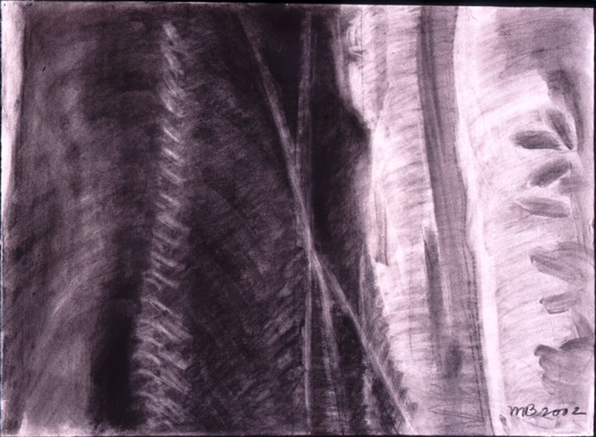 Charcoal Trunk 3 