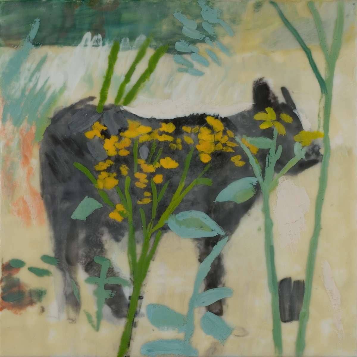 Ferdinand, Image 1.