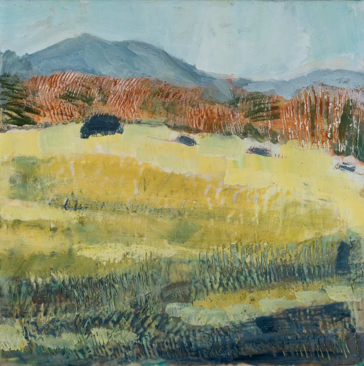 Four Cows Hiding, Image 1.