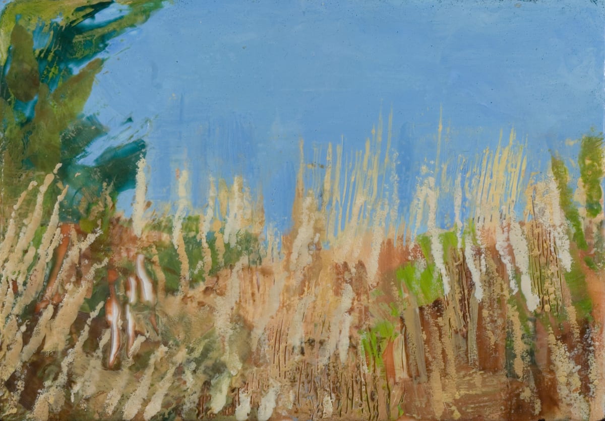 Sunlit Grasses by Marilyn Banner 