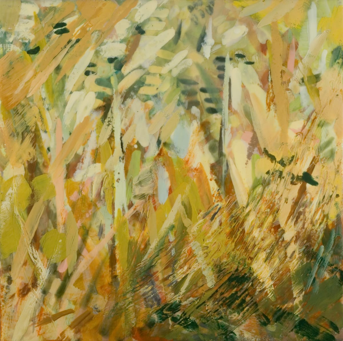 Grasshopper's View by Marilyn Banner, Image 1.