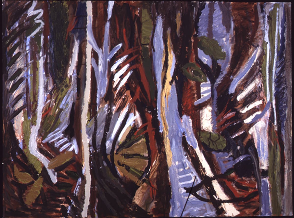Jungle Rhythms 