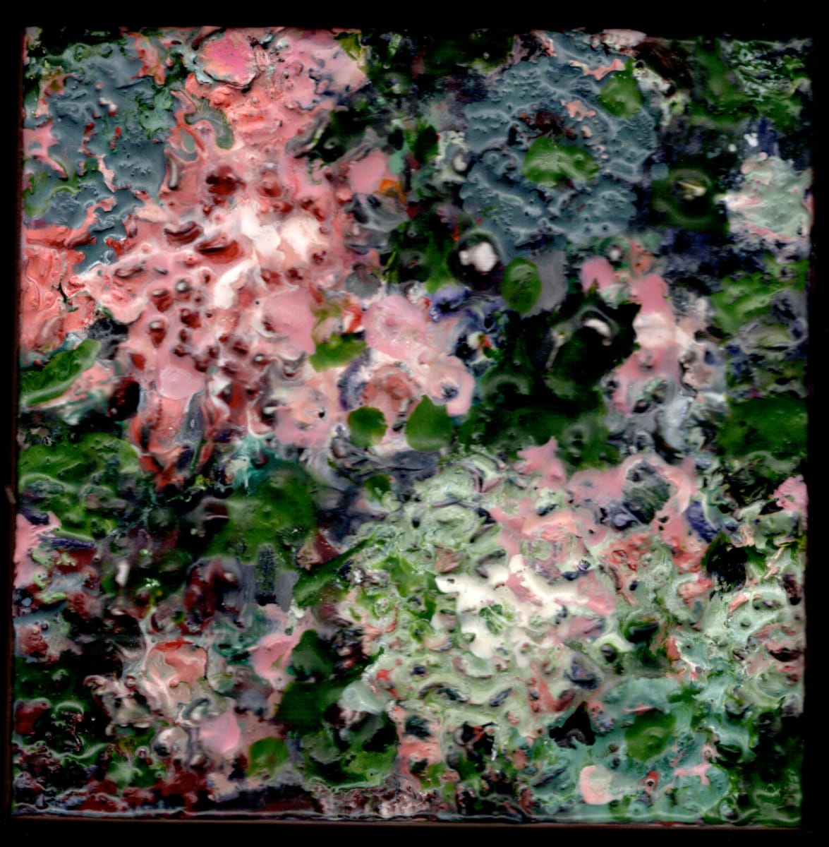 Lobaletta by Marilyn Banner 