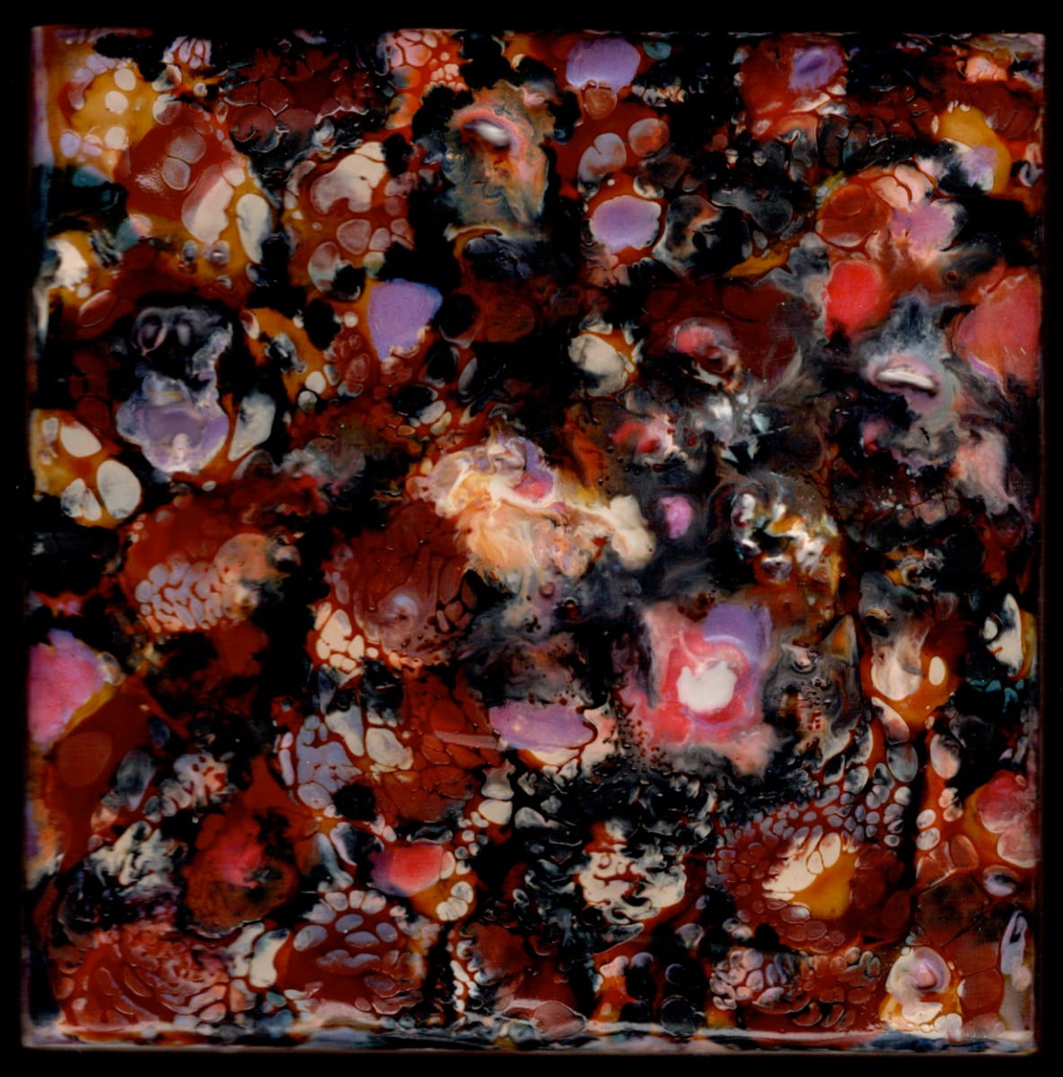 Microcosmos 13 by Marilyn Banner, Image 1.