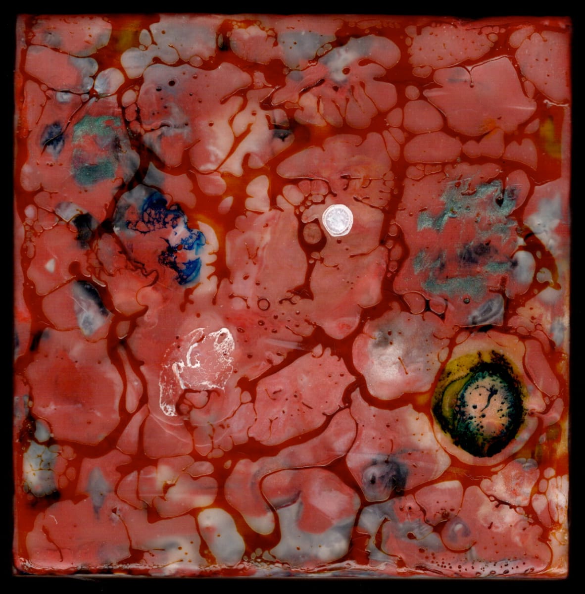 Microcosmos 16 by Marilyn Banner 