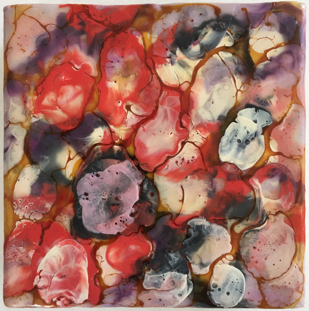 Microcosmos 17 by Marilyn Banner, Image 1.