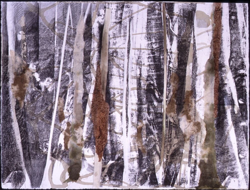 Rainforest #6, Image 1.