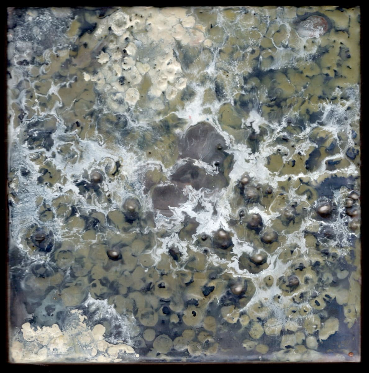 Raval 4 by Marilyn Banner, Image 1.