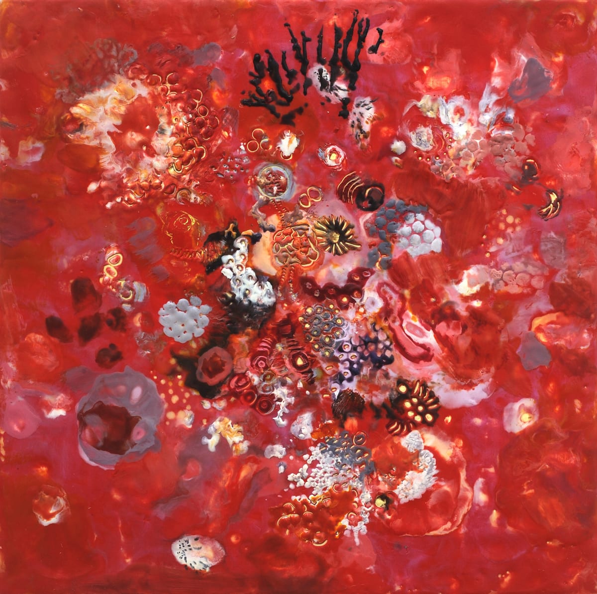 Red, Image 1.