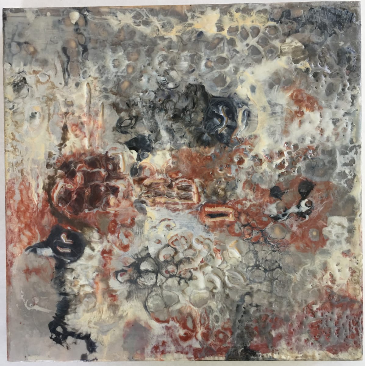 San Antoni by Marilyn Banner 