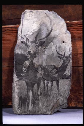 Two Deer by Marilyn Banner, Image 1.