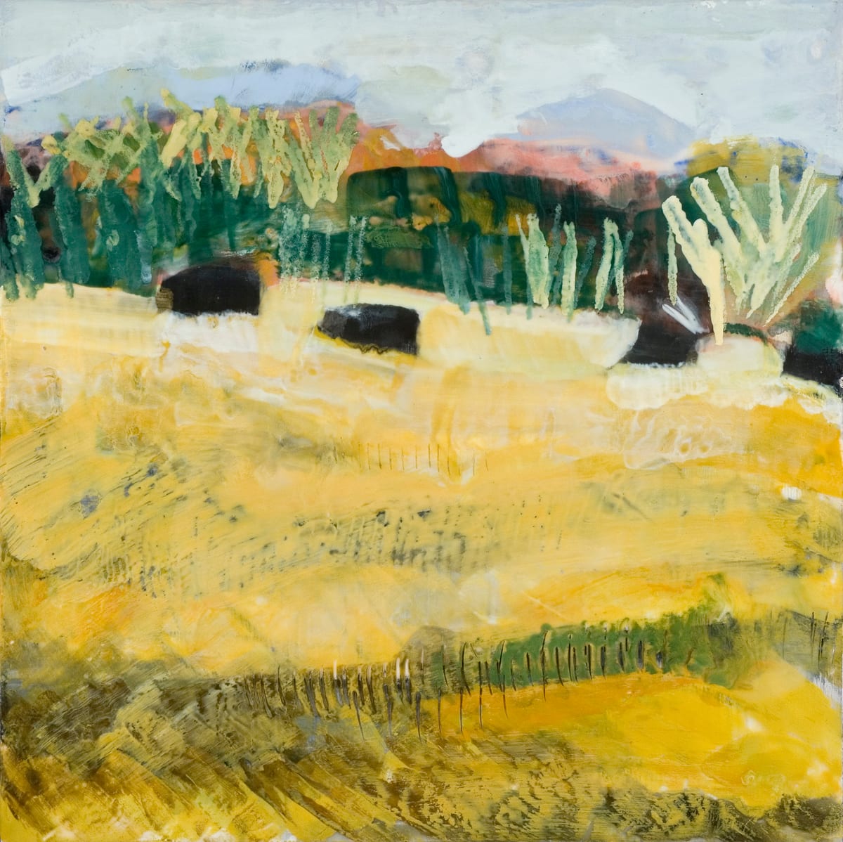Sun Drenched Field by Marilyn Banner 