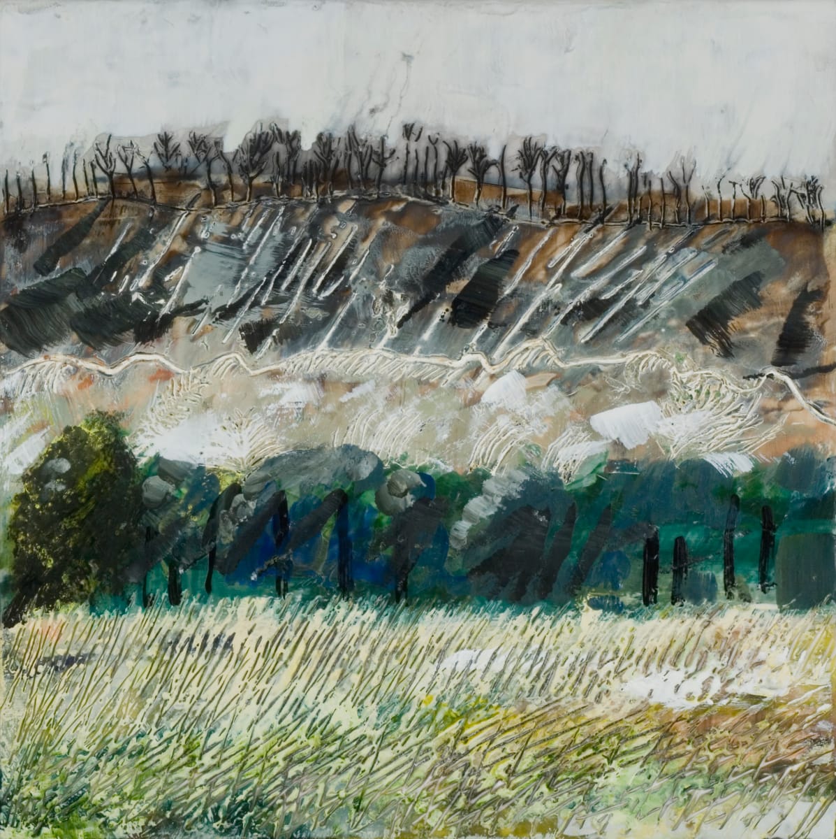 Treeline 1 