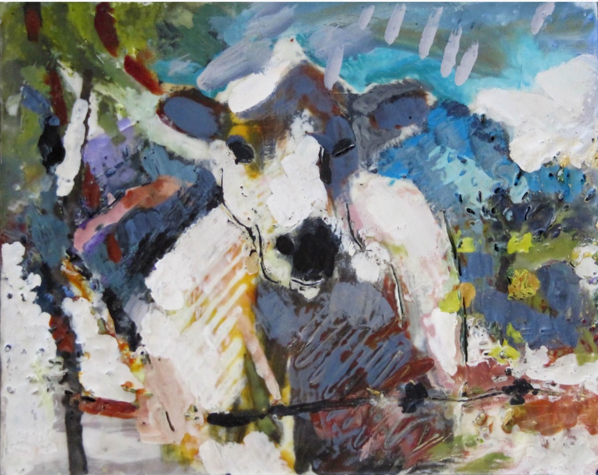 Zen Cow 