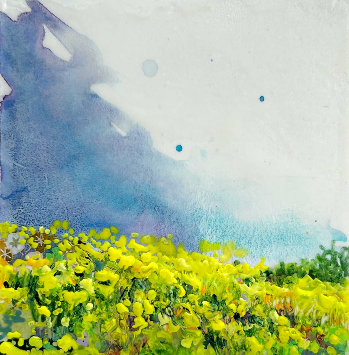 Canola Hill by Diane Larouche Ellard 