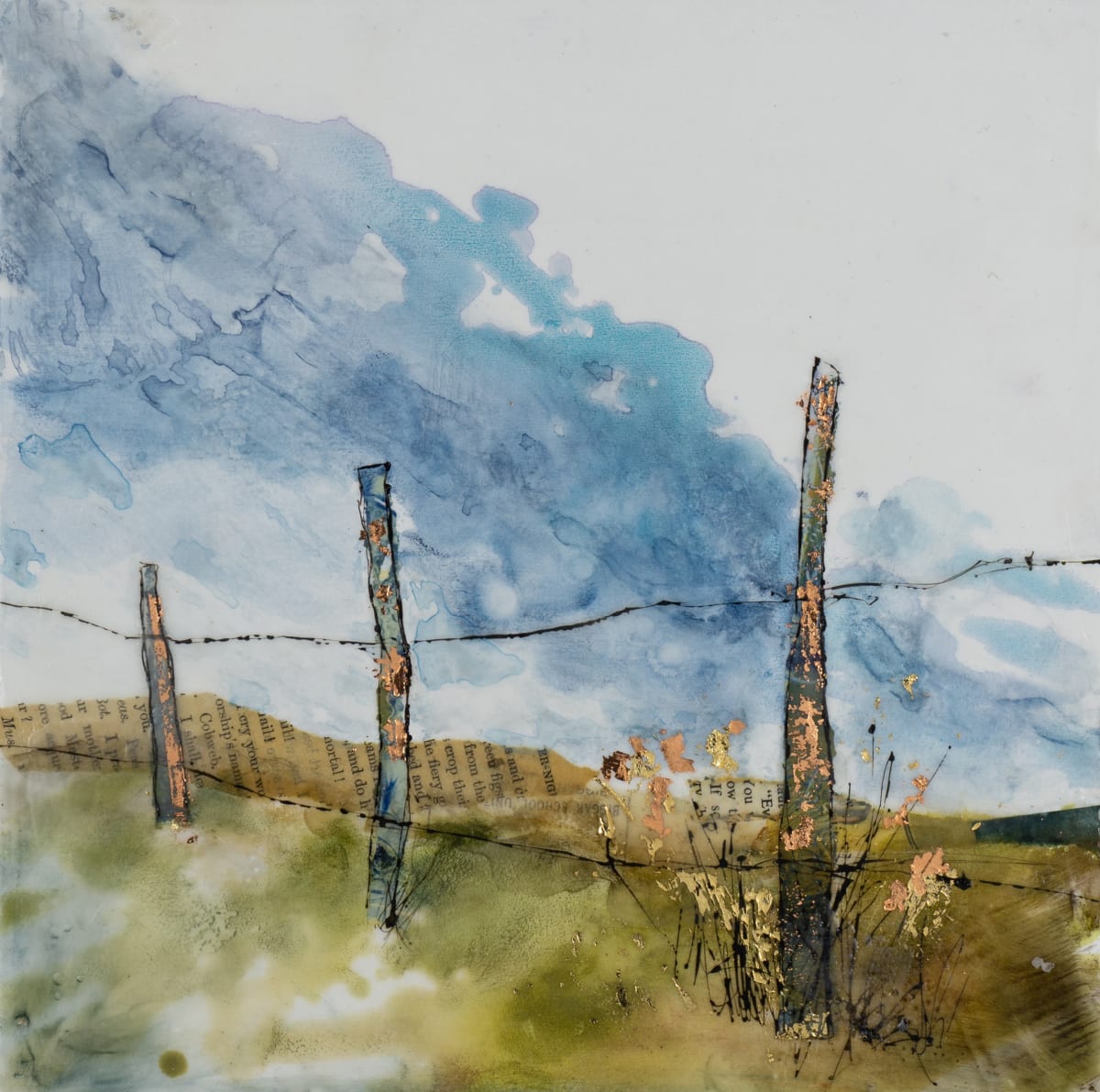 Cobweb Fence by Diane Larouche Ellard 