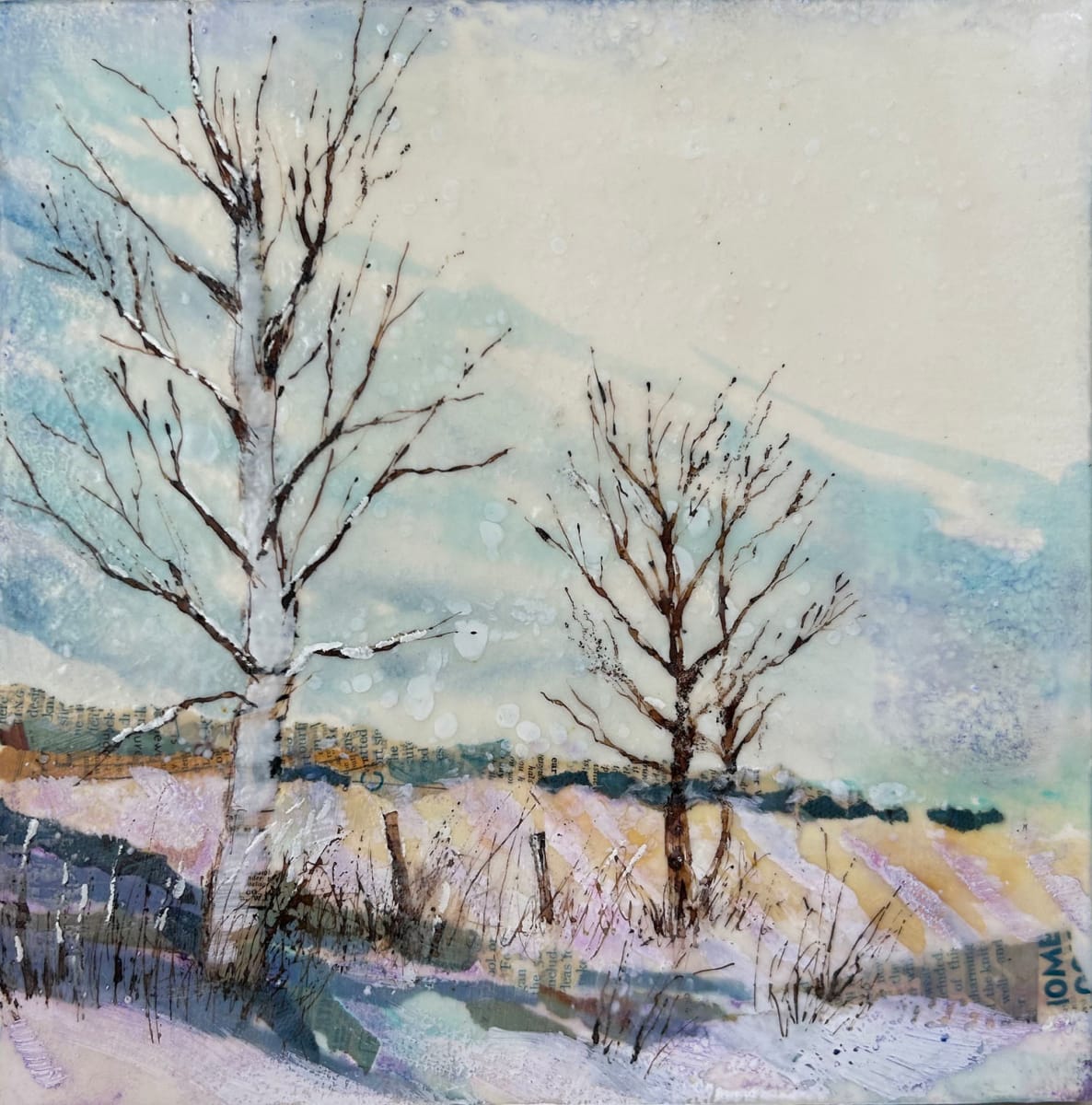 February Fields by Diane Larouche Ellard 