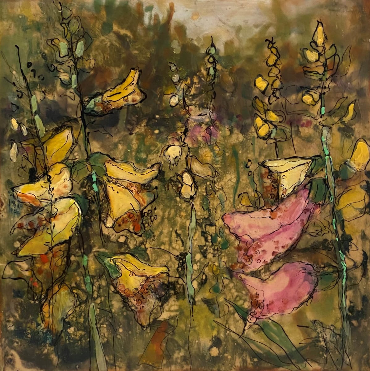 Foxgloves 