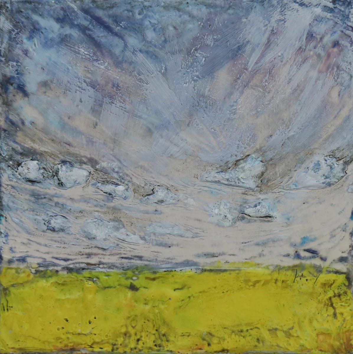 Sky and Canola by Diane Larouche Ellard 