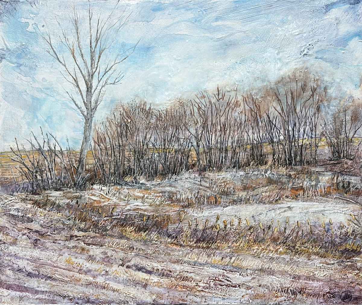 Winter Textures by Diane Larouche Ellard, Image 2.
