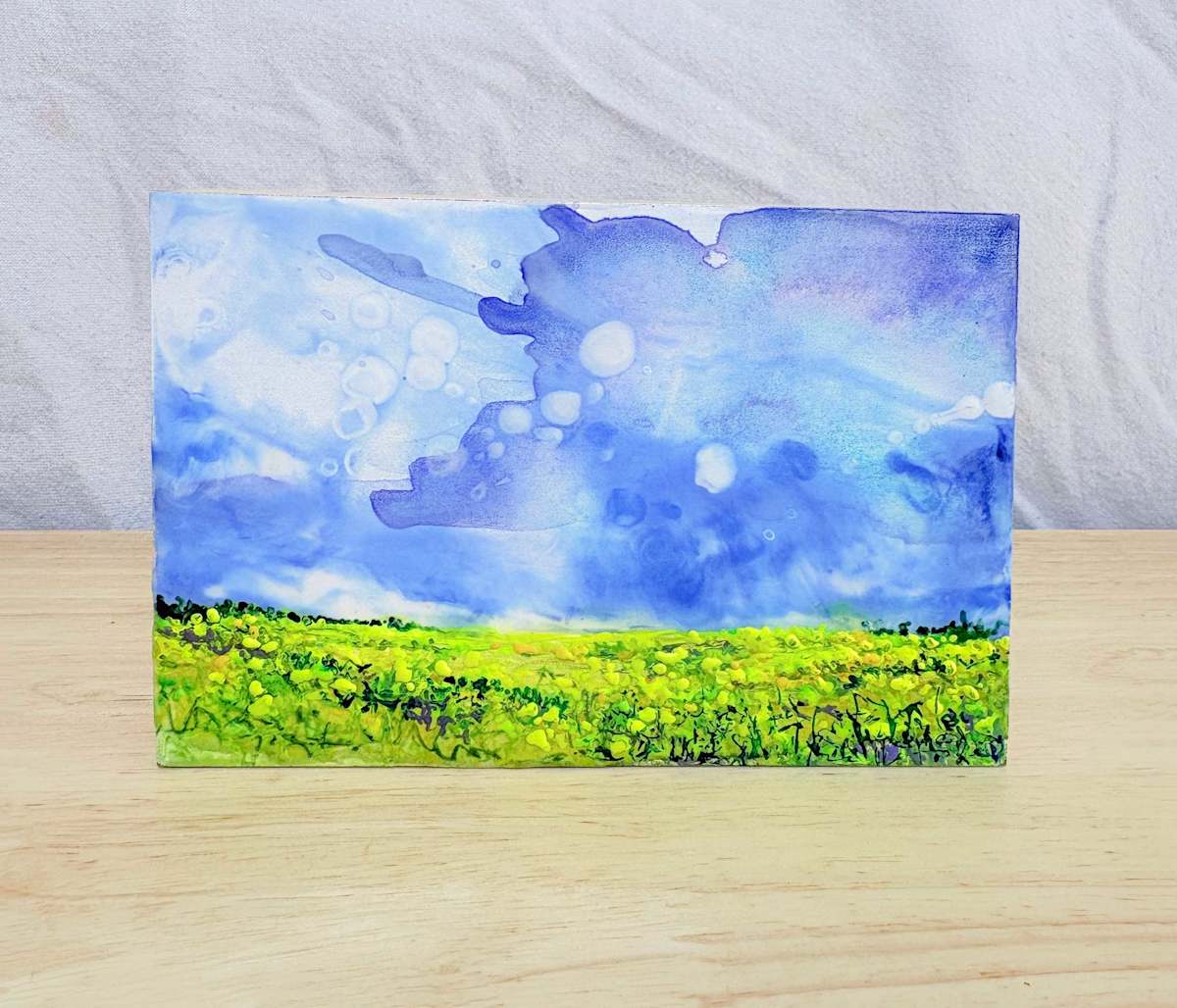 Wow Sky by Diane Larouche Ellard 