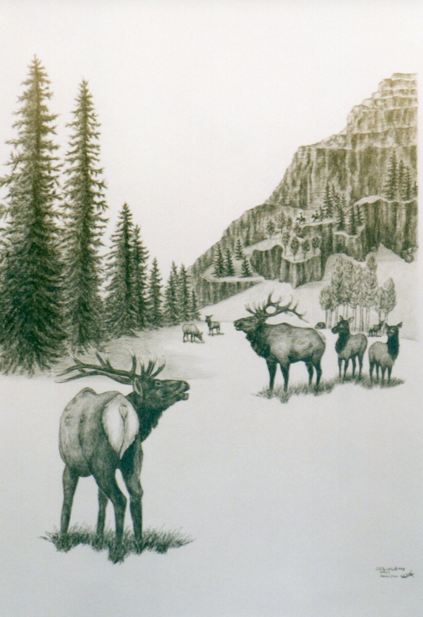 Elk Hunt (drawing 1) by Carol Zirkle Artwork Archive