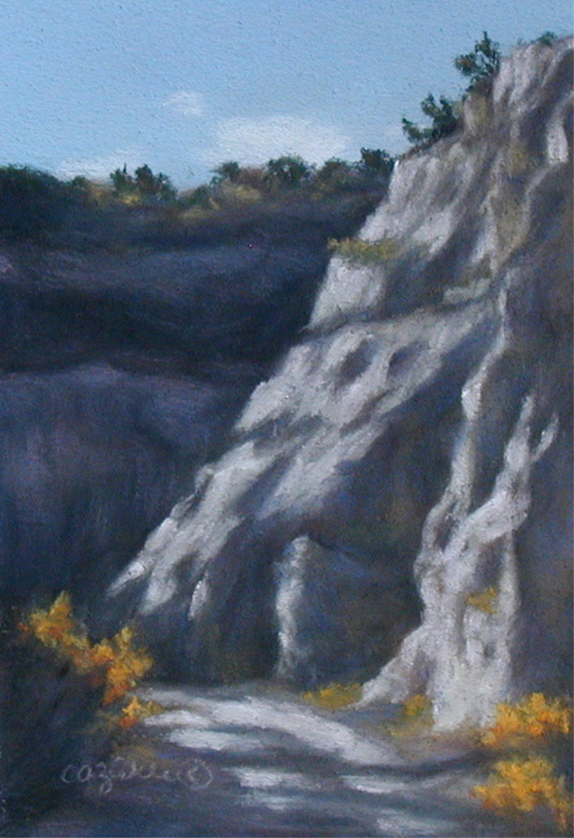 Canyon Light by Carol Zirkle 