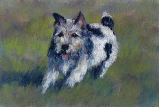 Jill by Carol Zirkle 