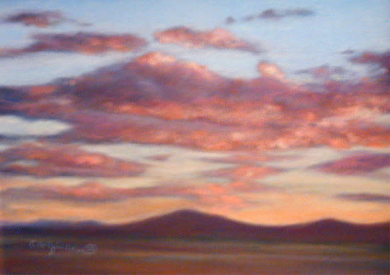 Evening Rose by Carol Zirkle 