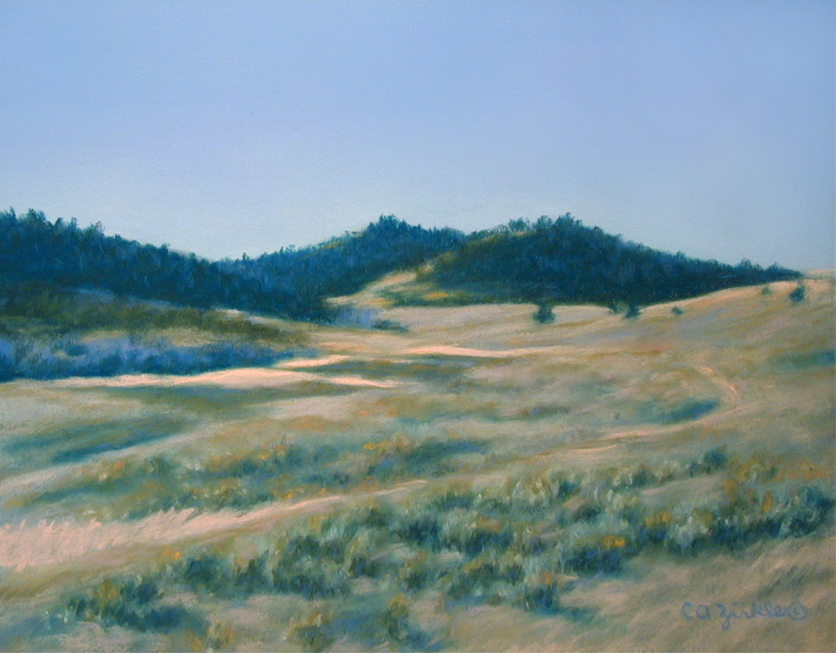 Field with Sagebrush by Carol Zirkle 