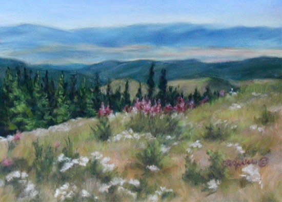 Above Flathead by Carol Zirkle 