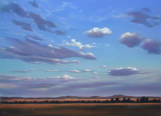 Flying Above the Frey by Carol Zirkle 