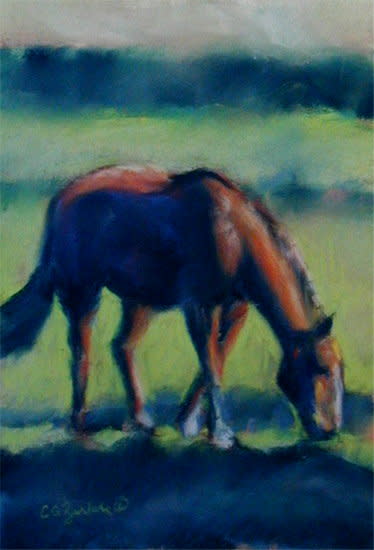 Grazing Horse by Carol Zirkle 