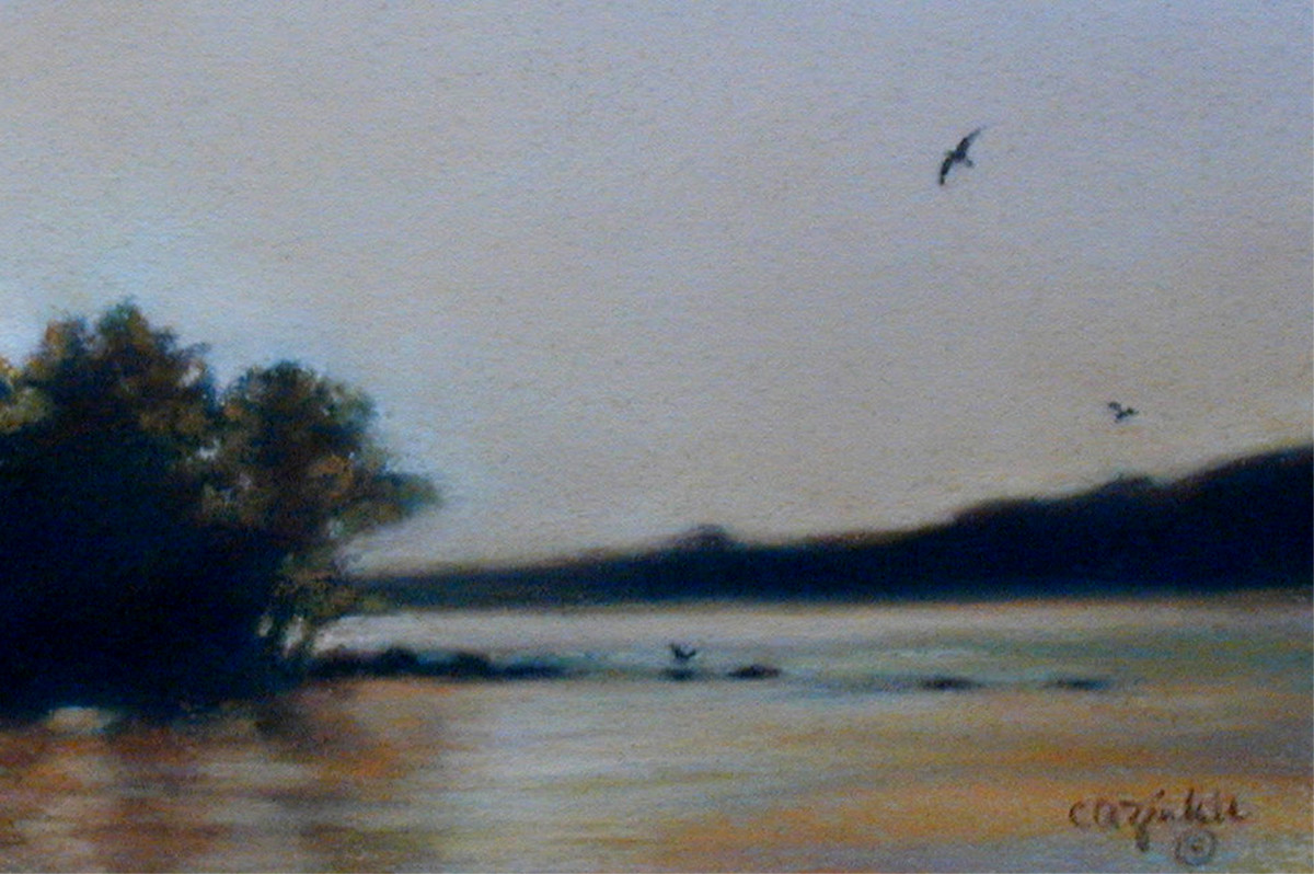 Lake Minnetonka Solace by Carol Zirkle 