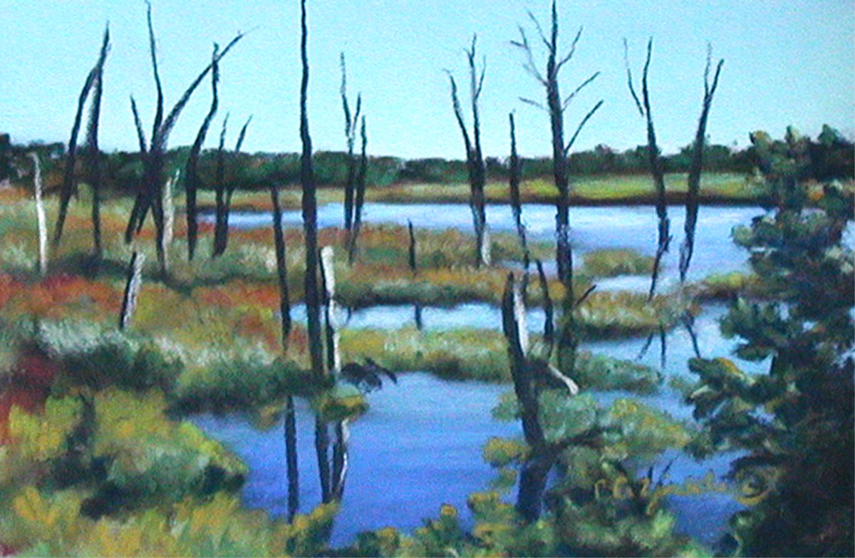 Minnesota Duck Pond by Carol Zirkle 