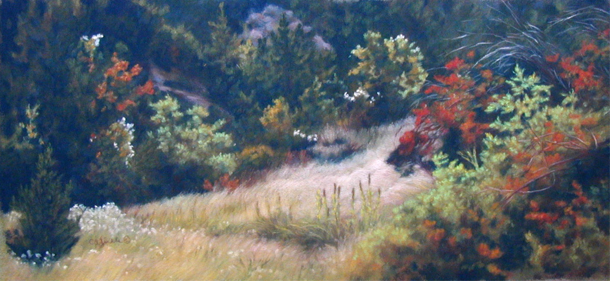 Summer's Last Hope by Carol Zirkle 