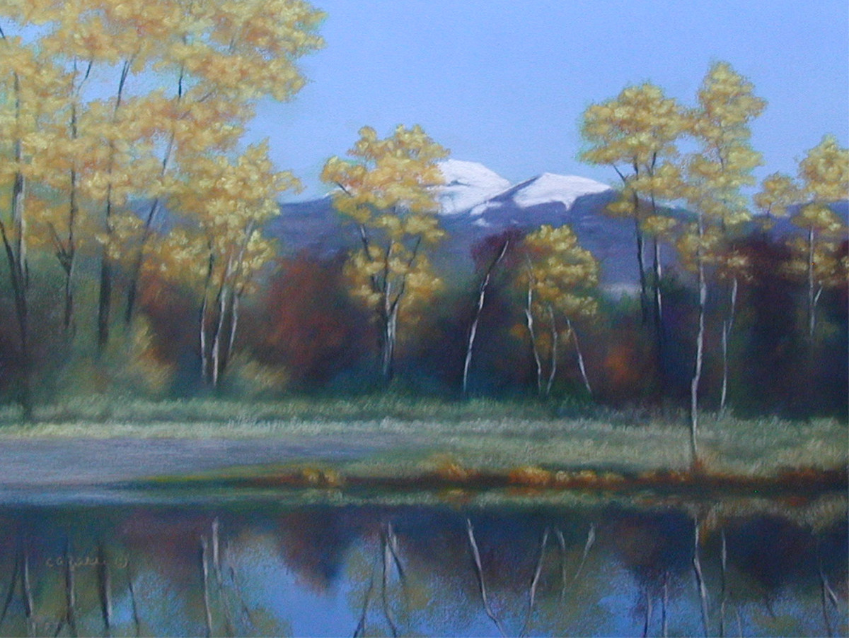 Walk in the Park by Carol Zirkle 