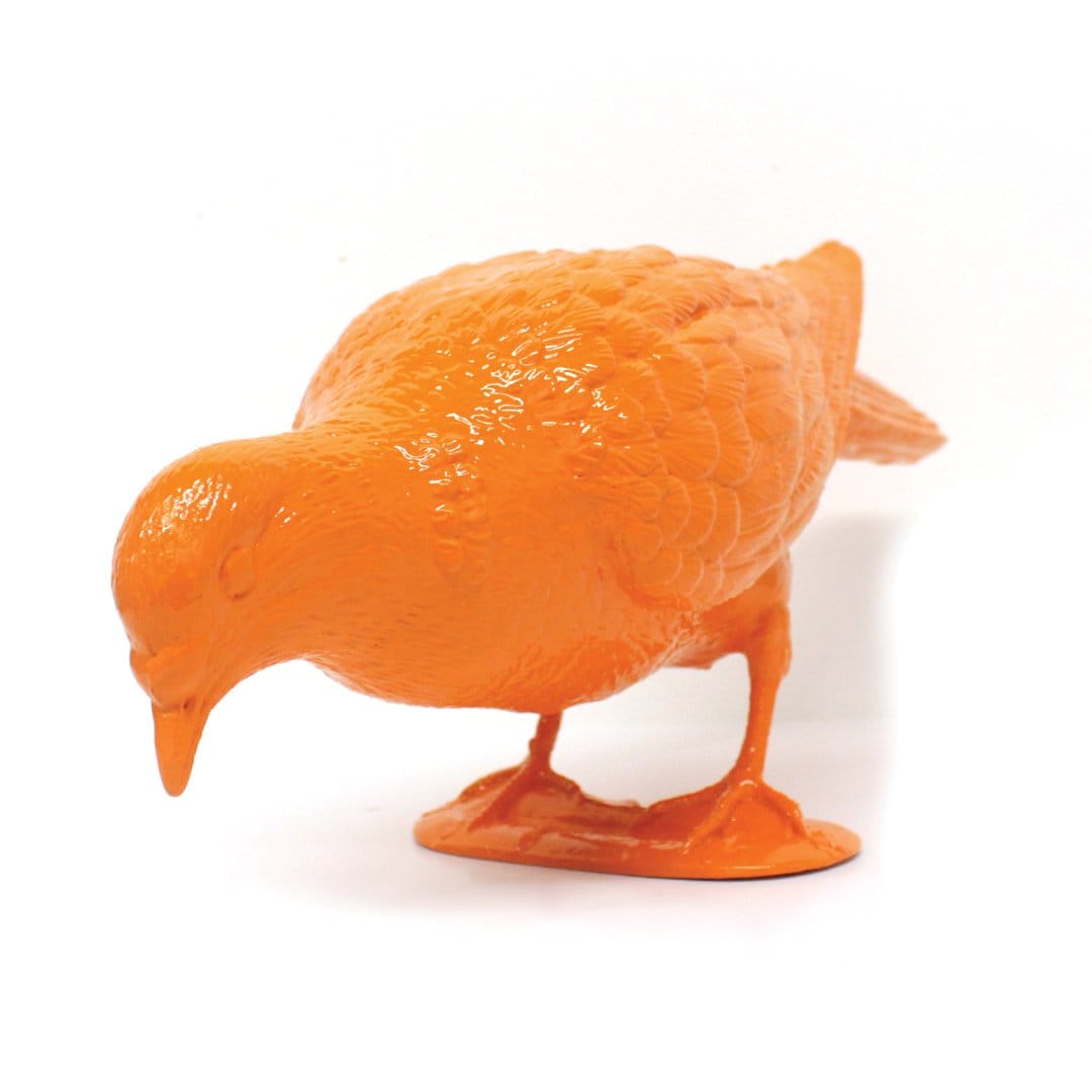 BELONGING (orange pigeon feeding) by Patrick Murphy 