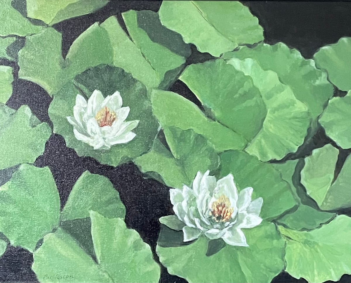 Water Lilies by Pat Ralph 