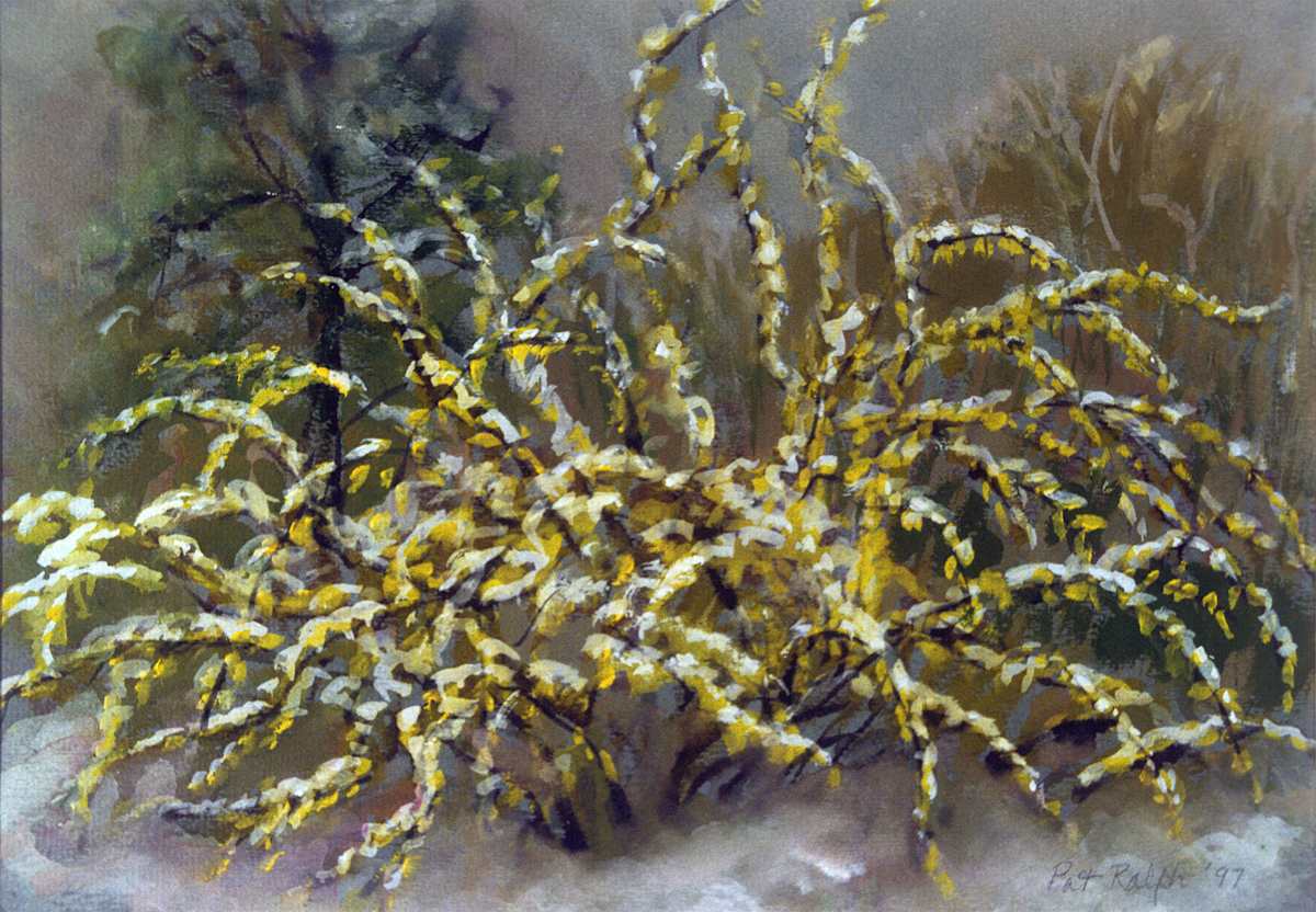 April Snow by Pat Ralph, Image 1.