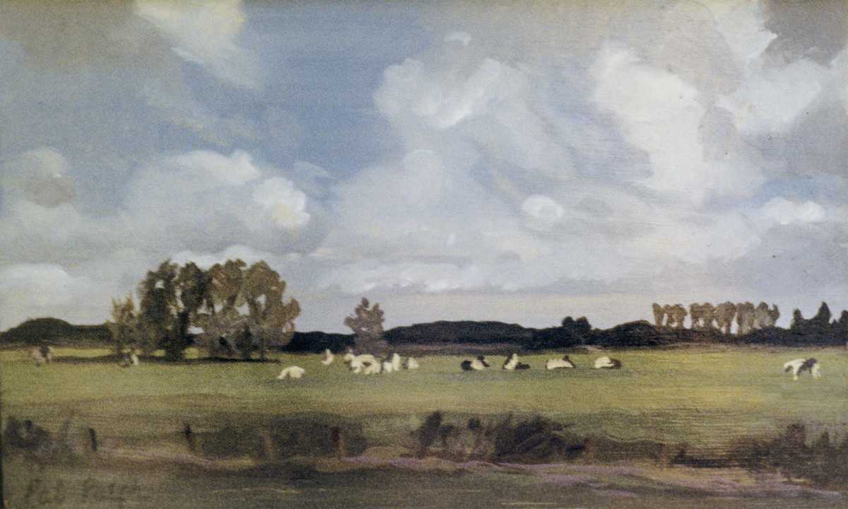 Cows in a Field by Pat Ralph 