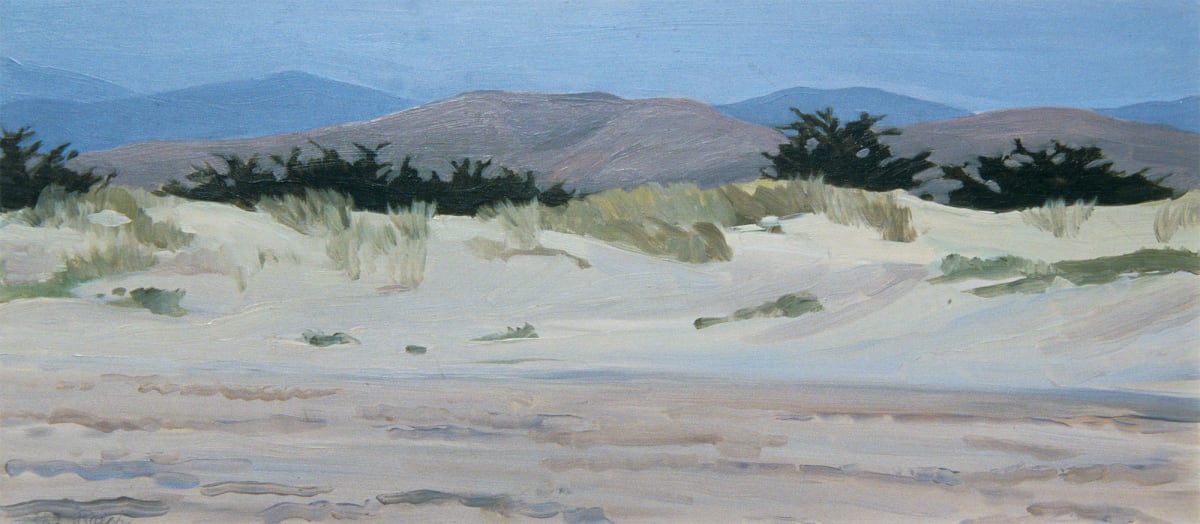 Dunes at Morro Bay 
