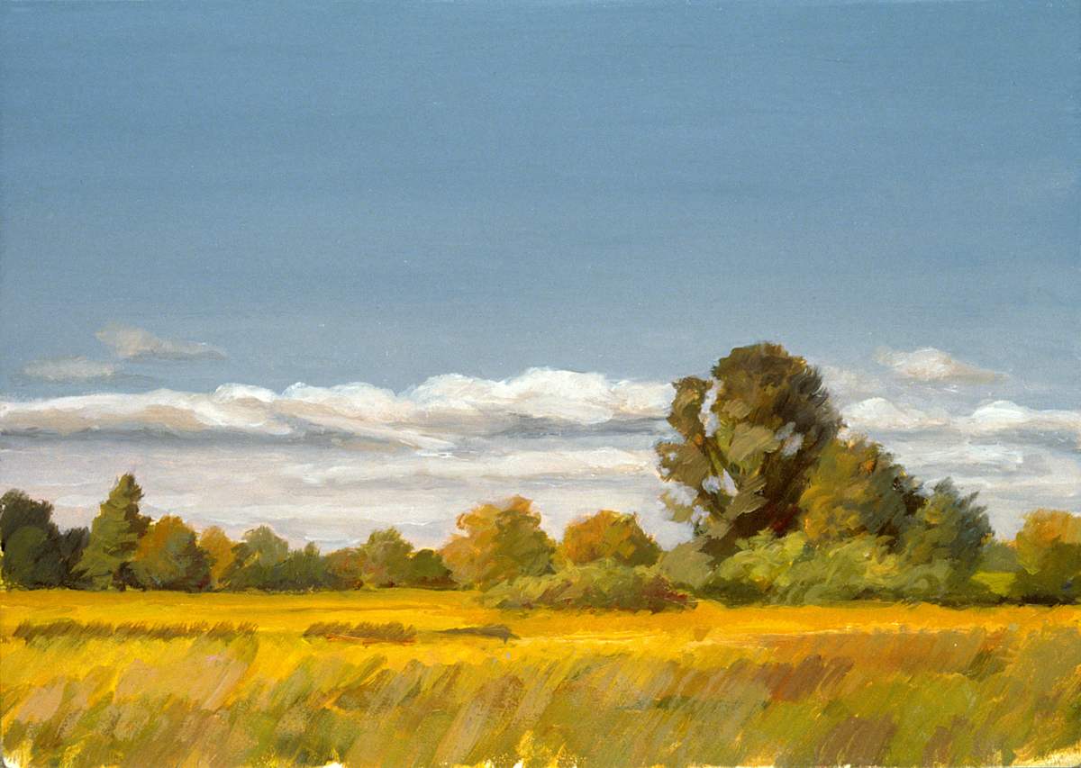 Golden Fields by Pat Ralph 